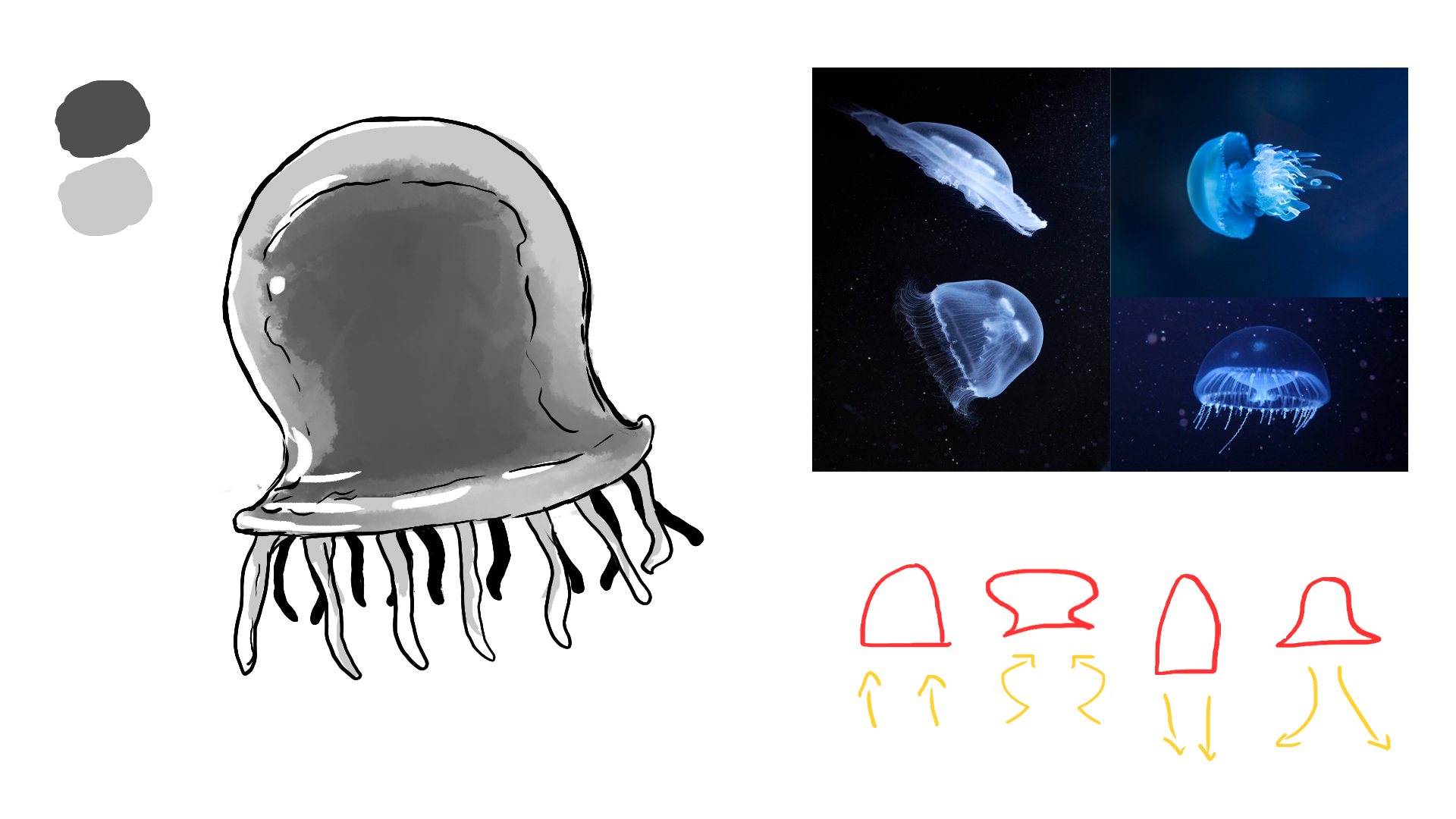 Jellyfish