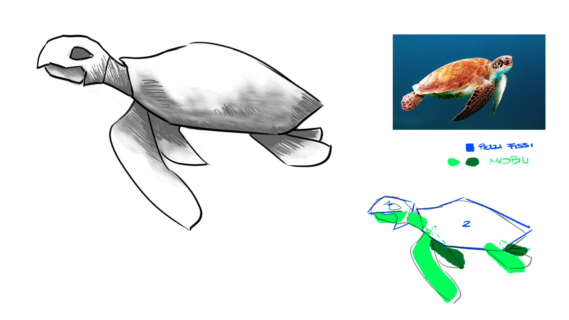 Seaturtle
